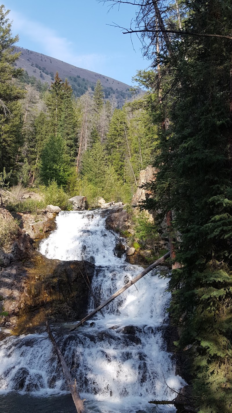 Wild Horse Creek Ranch - Photo 3