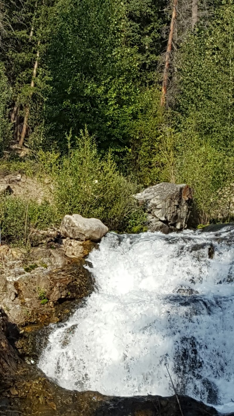 Wild Horse Creek Ranch - Photo 2