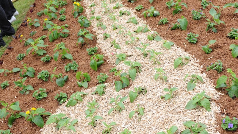 Regus Courbevoie Parc Des Couronnes