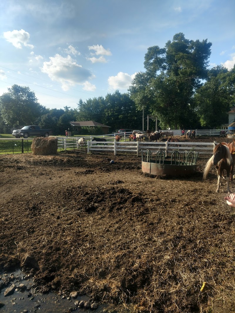 Destiny Youth Ranch - Photo 5