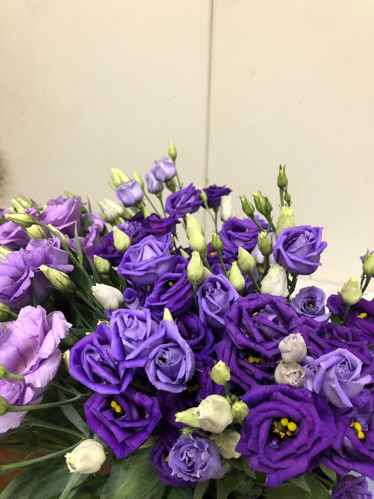 The Flower Cottage: Google Places image 5