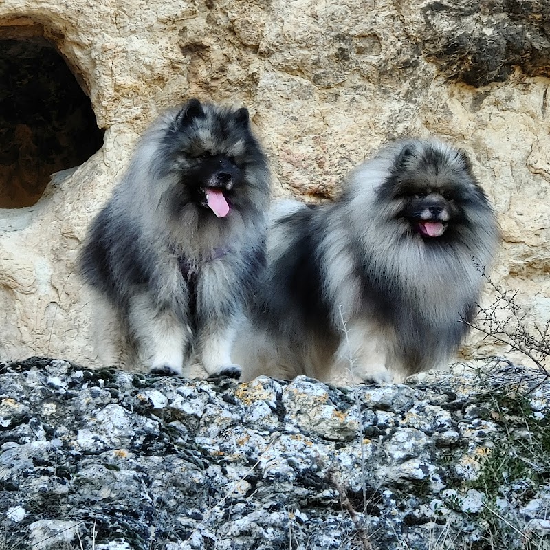 Clinica Veterinaria San Francisco