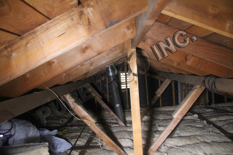 Pure Eco Inc. Los Angeles - General Contractor in Los Angeles