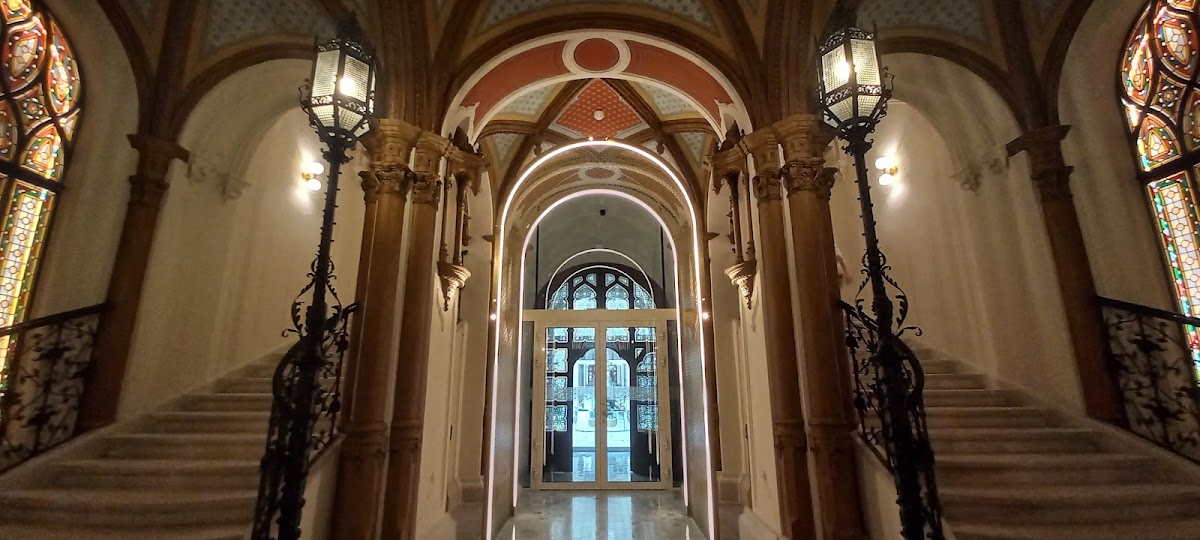 W Budapest, dog-friendly hotel, photo 5