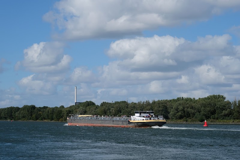 Oude Maas