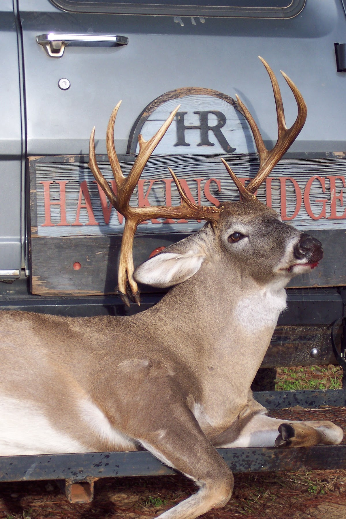 Hawkins Ridge Lodge