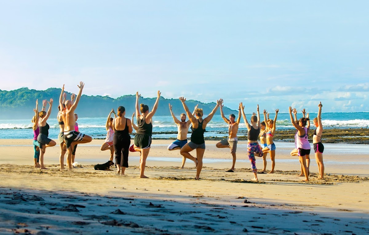 Nexus Institute Yoga & Wellness — 4