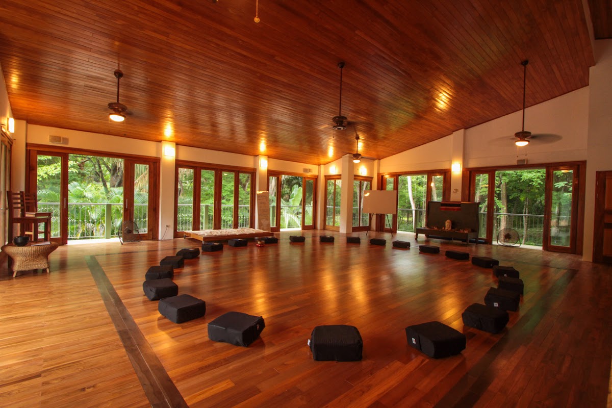 Nexus Institute Yoga & Wellness — 3