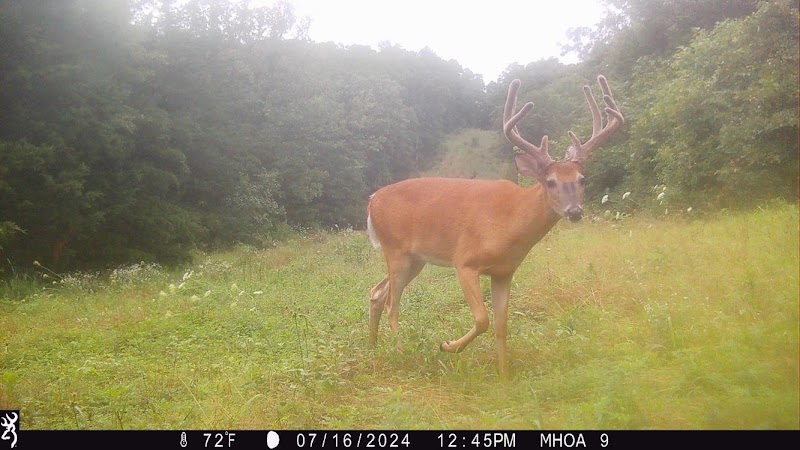 Missouri Hunting & Outdoor Adventures - Photo 1