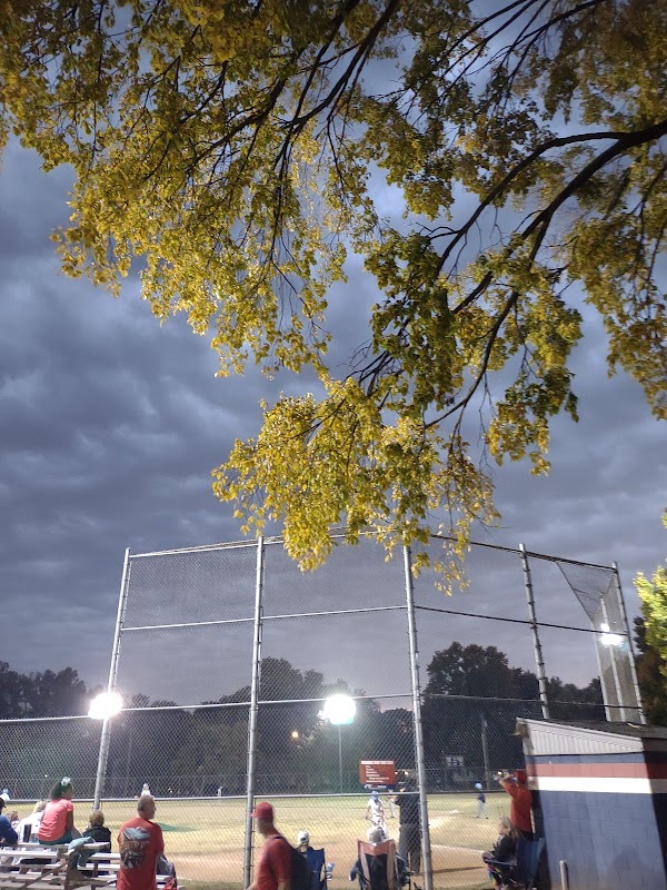 Photo by Marsha Teddy Bear