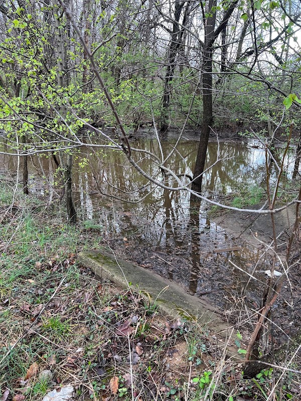 Photo by Janet Humphreu