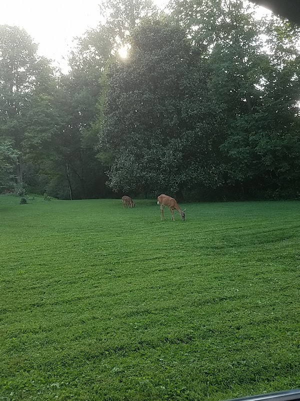 CROSBY PARK CONCESSION exterior