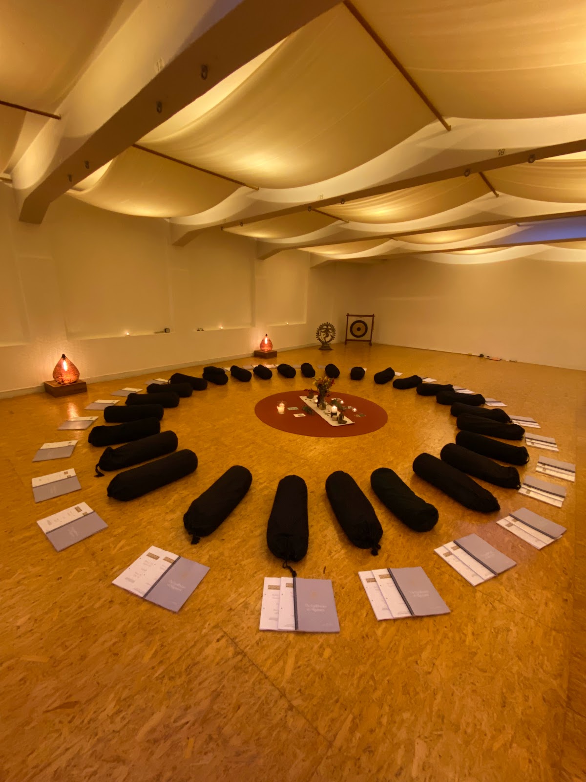 ALPINE YOGA ACADEMY - HELENE KRAINER — 3