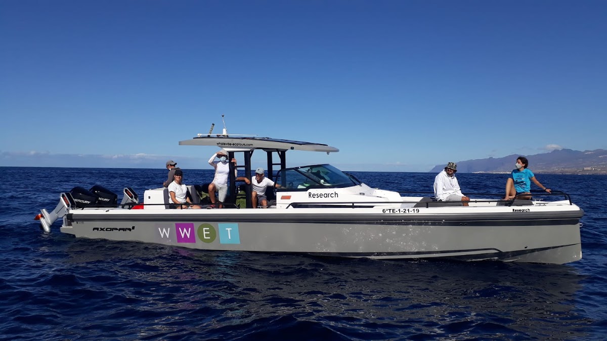 Whale Watching Cruise from Puerto del Carmen