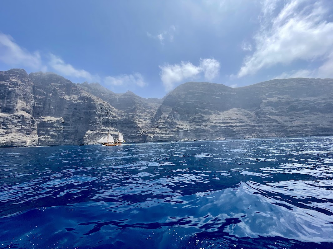 Whale Watching Cruise from Puerto del Carmen photo 3