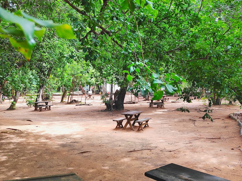 Bosque dos Namorados do Parque das Dunas