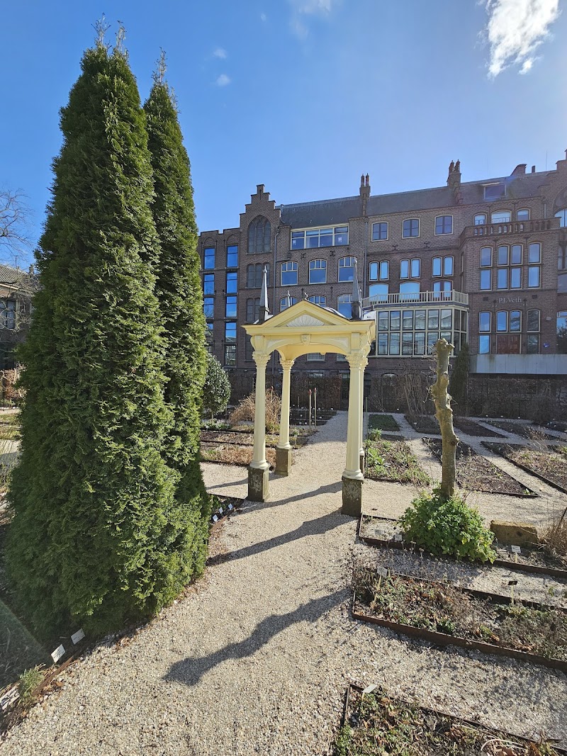 Clusiustuin