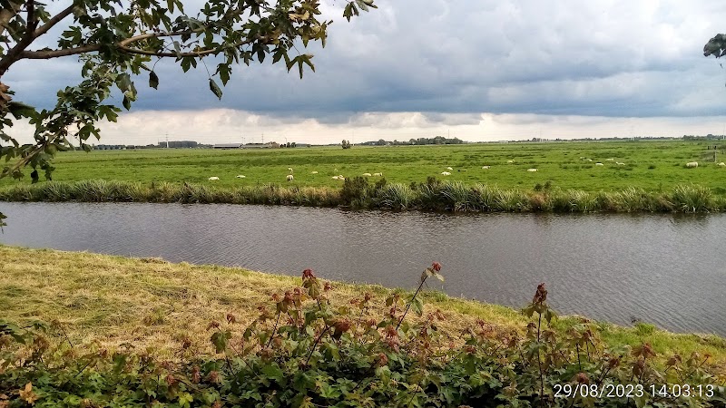 Schaaktuin De Wilck Hazerswoude