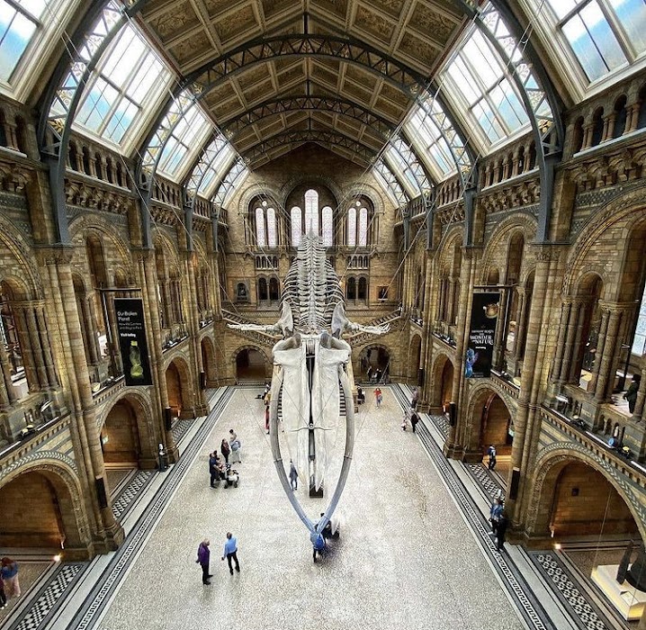 Natural History Museum fotoğraf 1