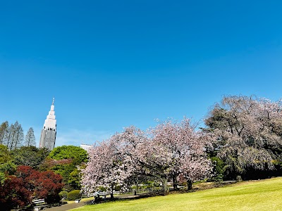 Shinjuku Gyoen National Garden - 3