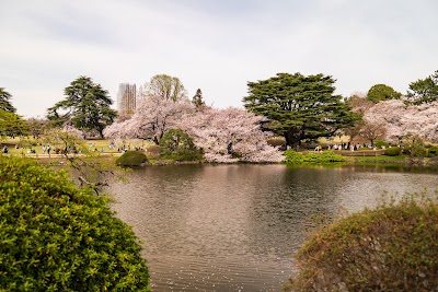 Shinjuku Gyoen National Garden - 2