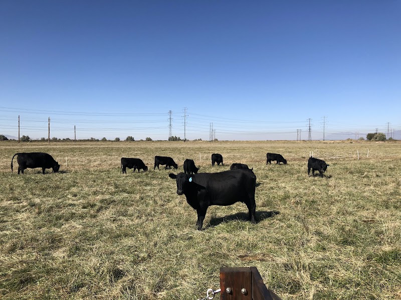 Cross E Ranch - Photo 2