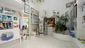 Noso Can & Cat Clínica Veterinaria