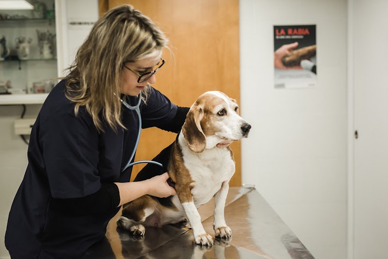 Noso Can & Cat Clínica Veterinaria photo 4