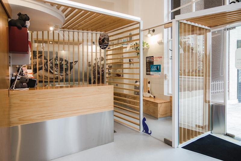 Noso Can & Cat Clínica Veterinaria photo 5