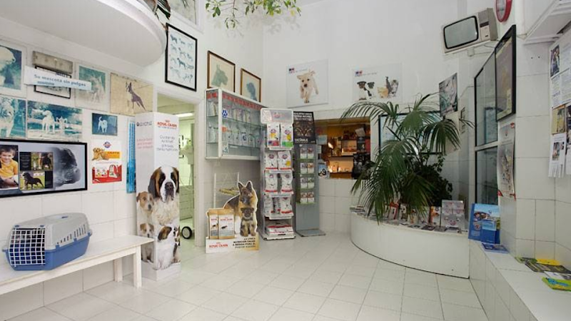 Noso Can & Cat Clínica Veterinaria photo 1