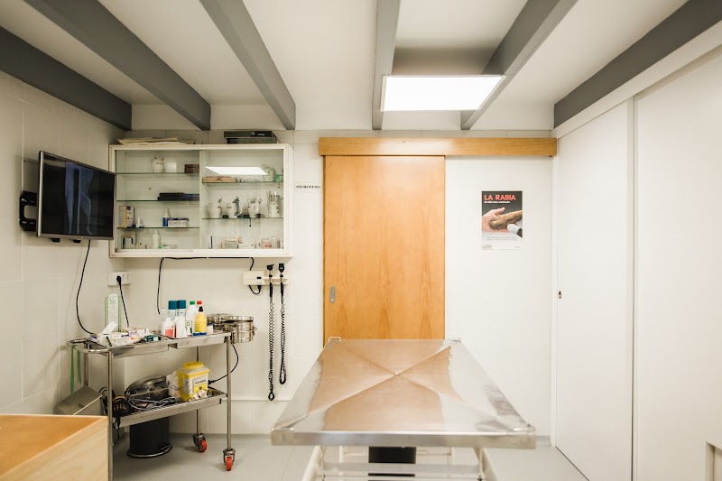 Noso Can & Cat Clínica Veterinaria photo 3