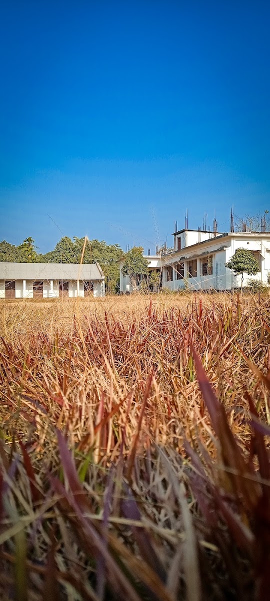 Badharghat HS school Google photo 2