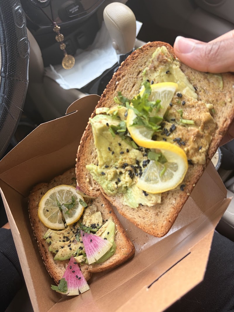 Zocalo Coffeehouse photo 3