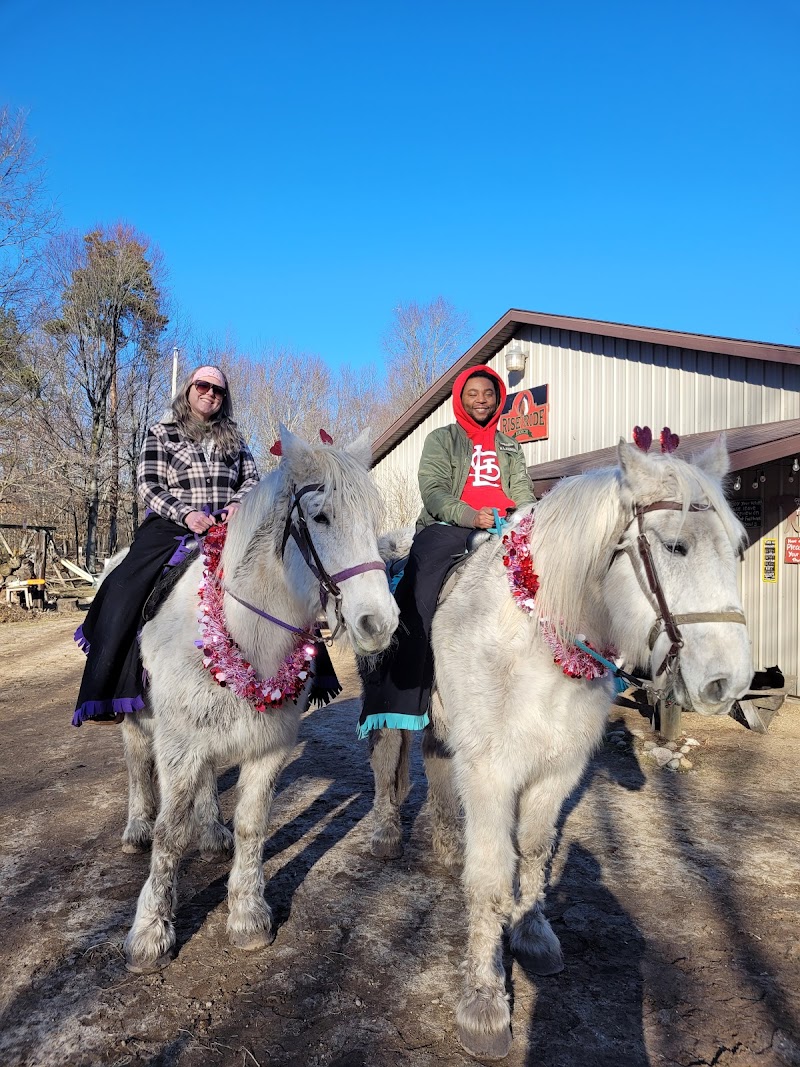 Rise & Ride Ranch - Photo 1