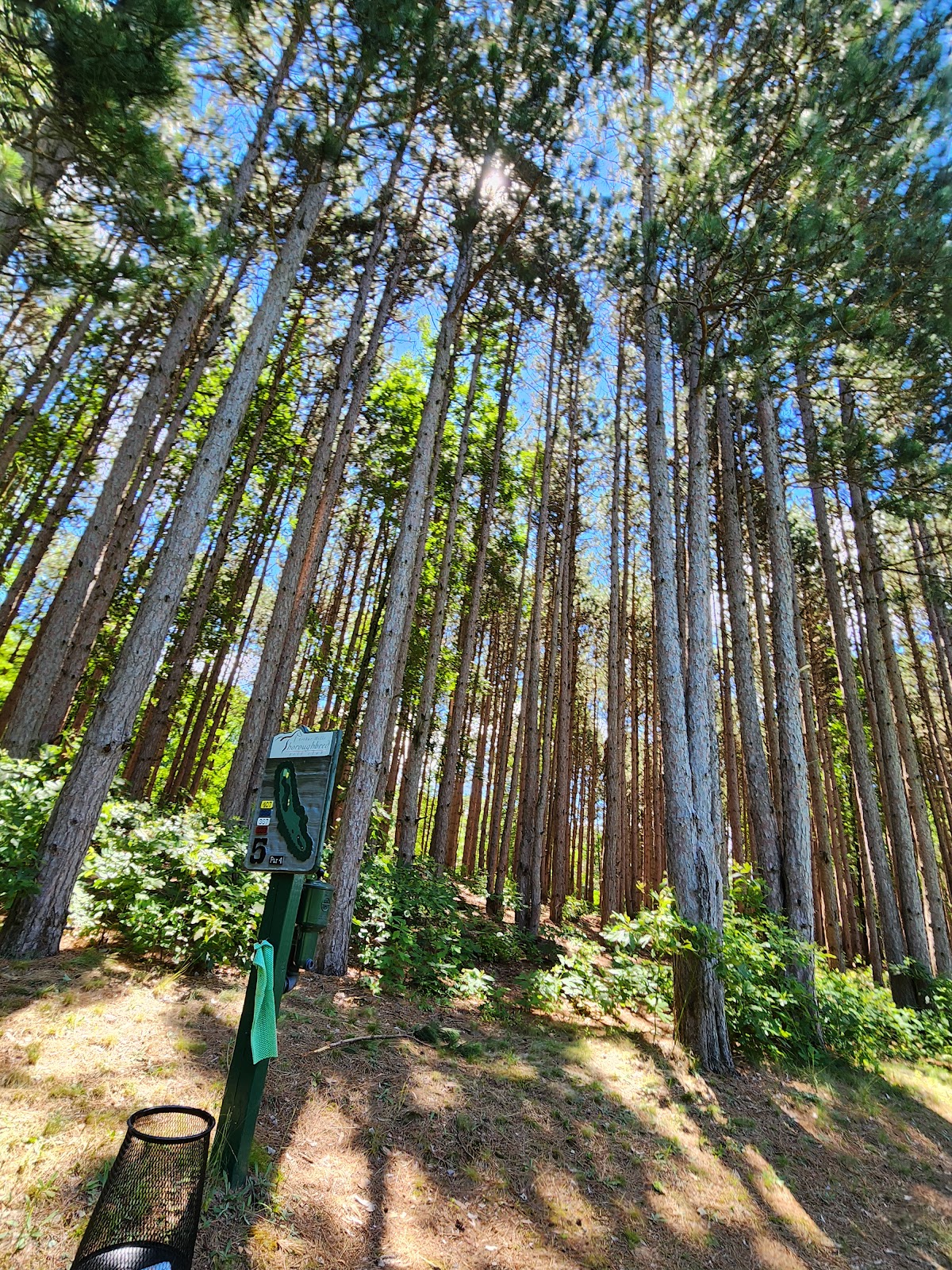 Thoroughbred at Double JJ Resort 4