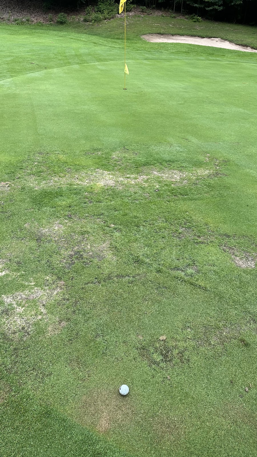 Thoroughbred at Double JJ Resort 2