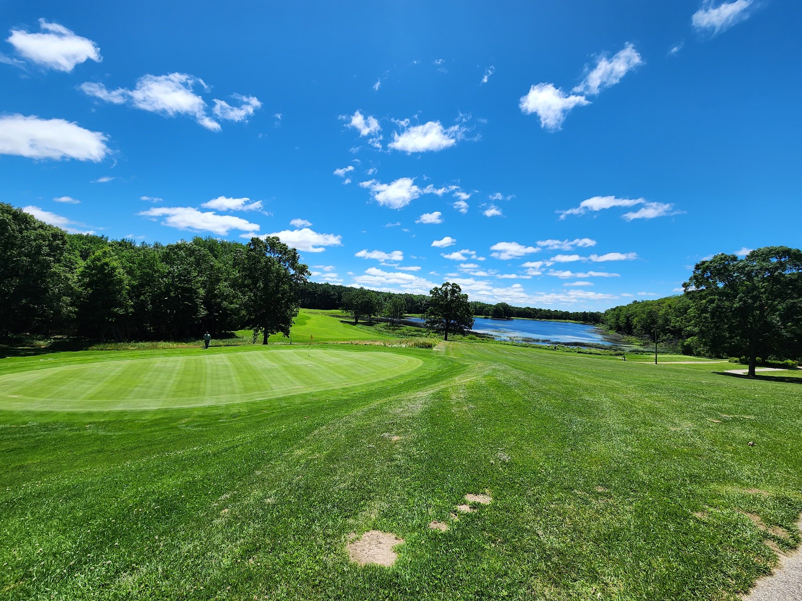 Thoroughbred at Double JJ Resort main