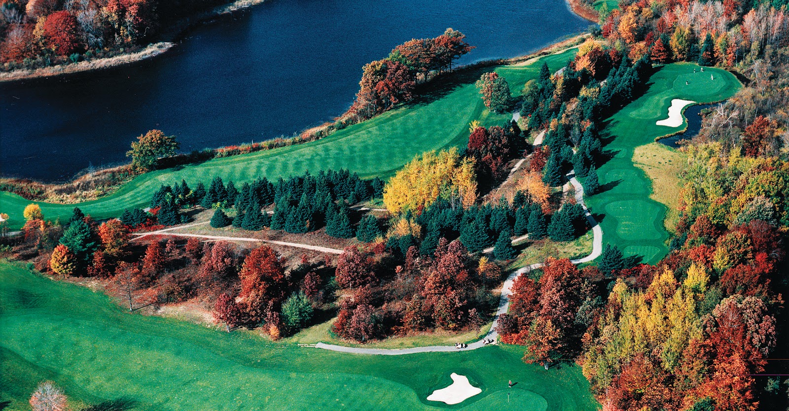 Thoroughbred at Double JJ Resort 3