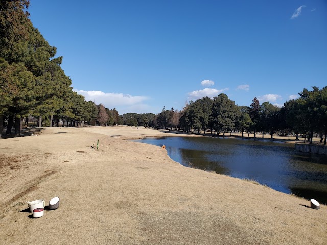 31 Country Club - Photo 5