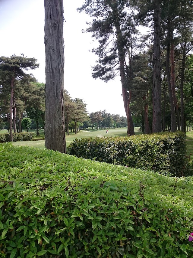 31 Country Club - Photo 6