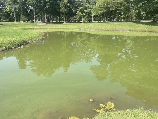31 Country Club - Photo 10