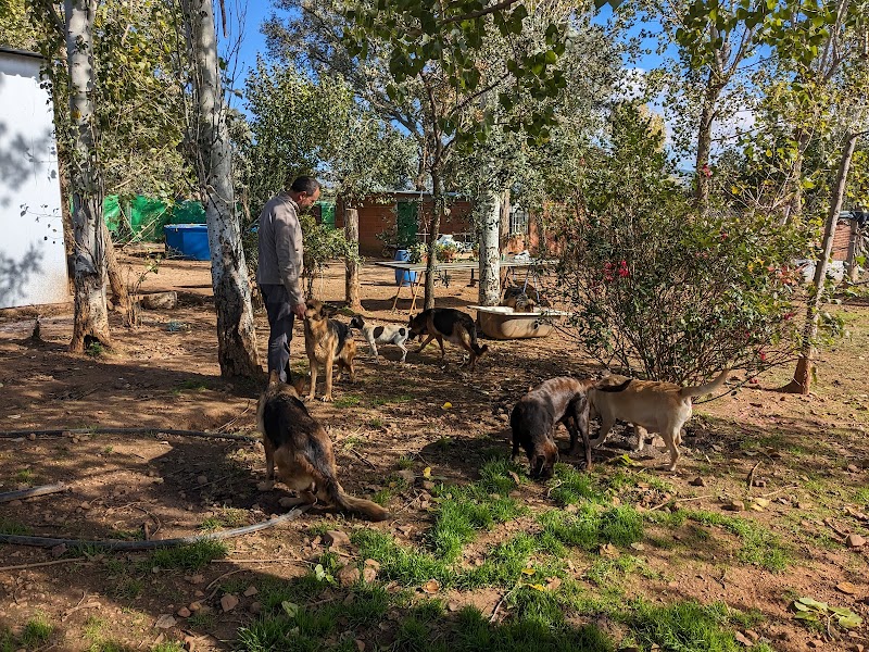 Residencia Canina Sarbecan