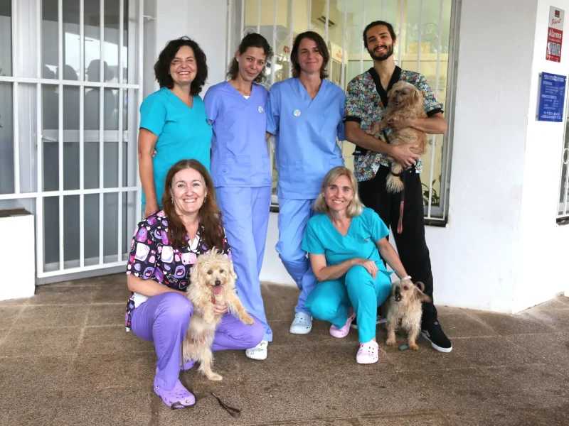 Clínica Veterinària Son Ferrer C.B.