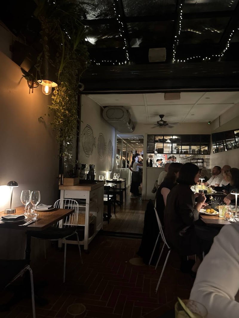 Tequila Mockingbird photo 9