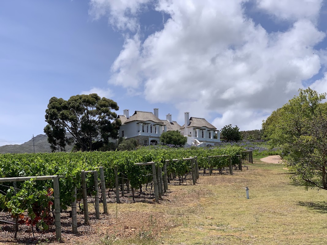 Bouchard Finlayson Winery - visit our Pop Up in Hermanus