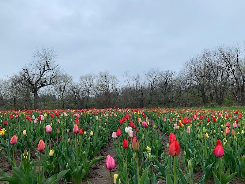 Wilson's Orchard & Farm (Des Moines) photo 4
