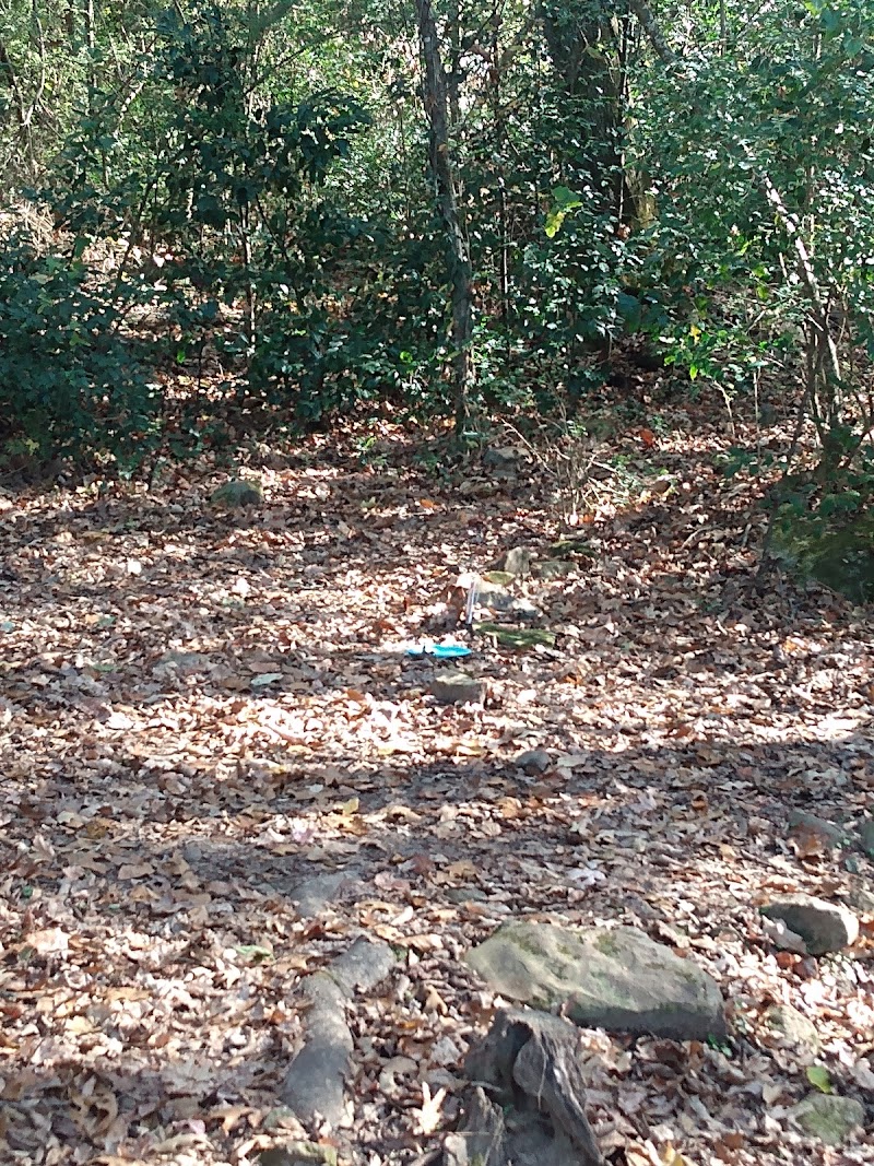 Carter Memorial Disc Golf Course photo 3