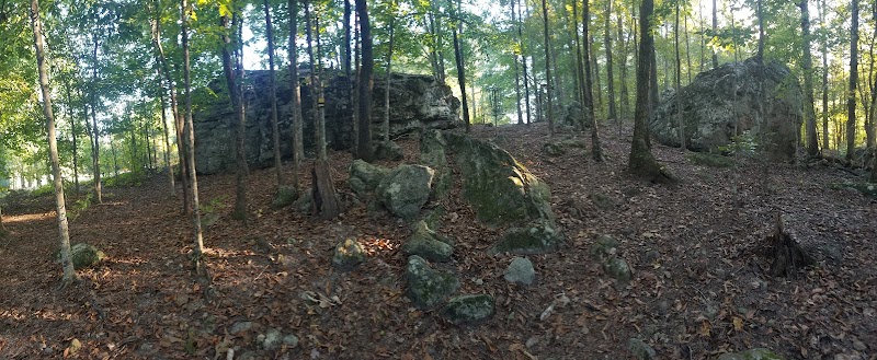 Carter Memorial Disc Golf Course photo 5