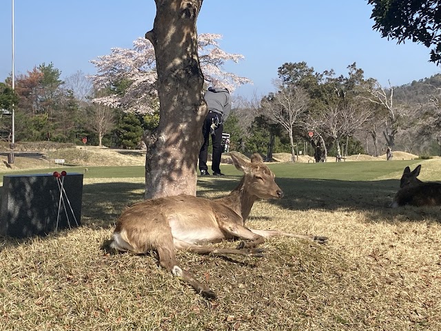 Crown Hills Kyoto Golf Club - Photo 6