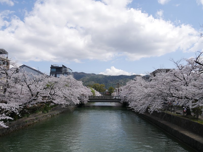 京都市岡崎公園